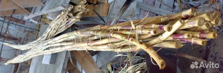 Бамбук 3-5м (для удочек и прочих целей),торг