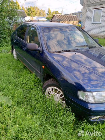 Nissan Primera 1.6 МТ, 1998, 320 000 км