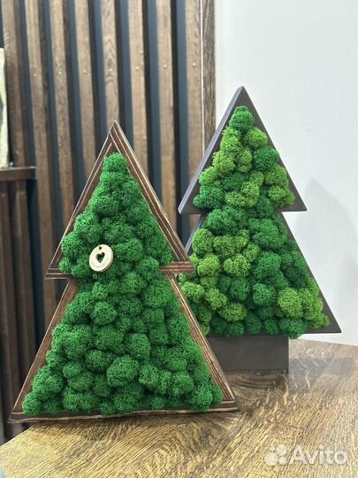 Новогодние елки,стабилизированный мох,подарок