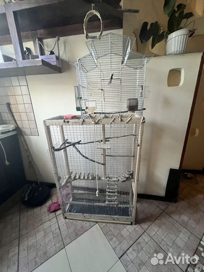 Клетка вольер для попугаев