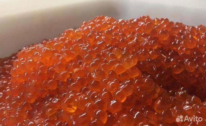 Красная икра