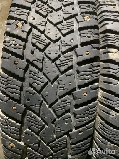 Medved Nast II 175/70 R13