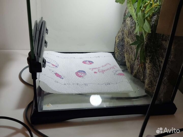 Террариум для рептилий бу