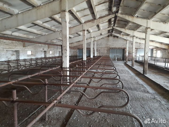 Продается (сдается в аренду) ферма крс (без скота)