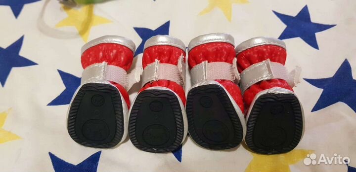 Ботинки для mini собак