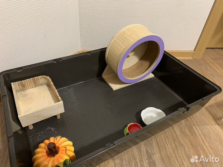 Клетка / дюна для грызунов