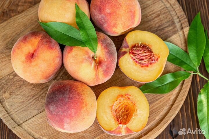 Саженцы персика центри