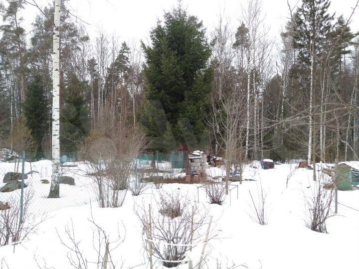 Участок 12,6 сот. (СНТ, ДНП)