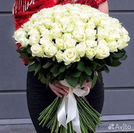 101 Роза Цветы Букеты 51 25 Роз Доставка