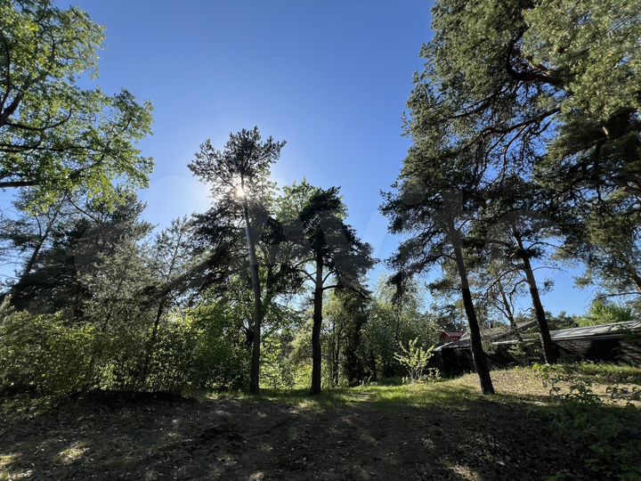 Участок 30 сот. (ИЖС)