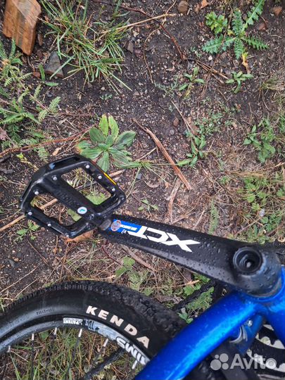 Mongoose tyax