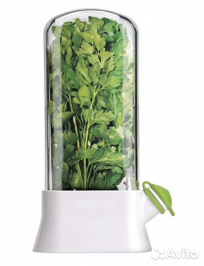 Бокс для зелени