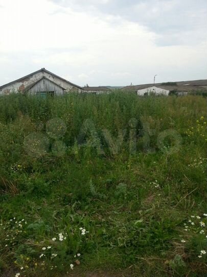 Участок 44 сот. (СНТ, ДНП)