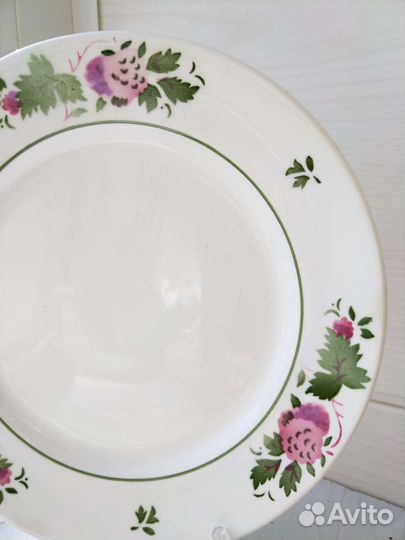 Тарелка зик