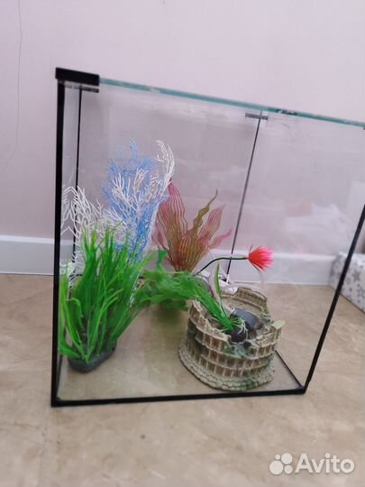 Аквариум