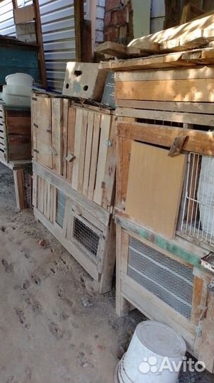 Клетка для кролика