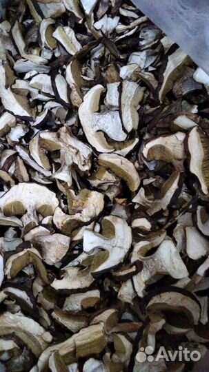 Грибы опт