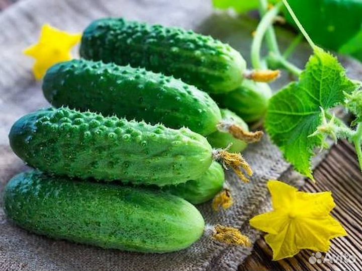 Излишки со своего огорода