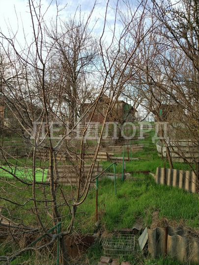 Участок 6 сот. (ИЖС)