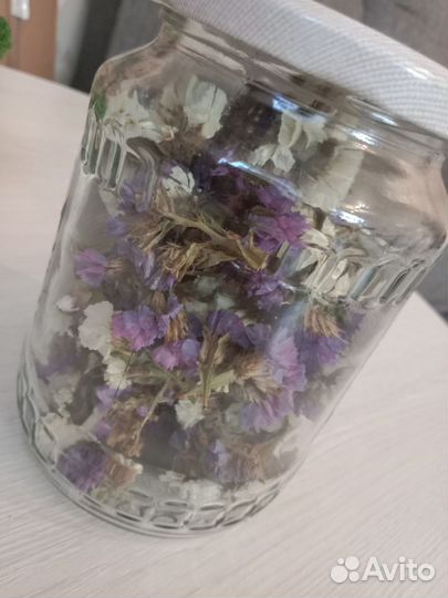 Сухоцветы для поделок