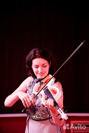 Скрипка, электроскрипка, музыкант на праздник