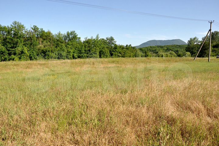 Участок 1,5 га (СНТ, ДНП)