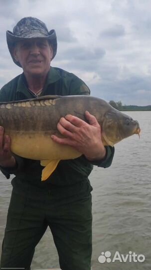 Монастырские Озёра рыбалка и отдых