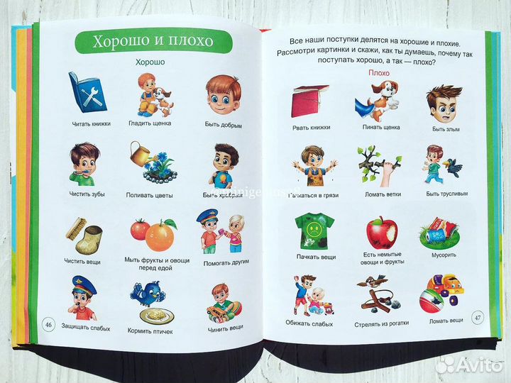 Первая энциклопедия малыша