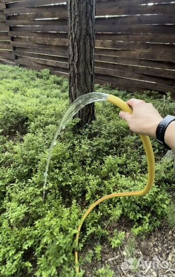 Абиссинская скважина бурение