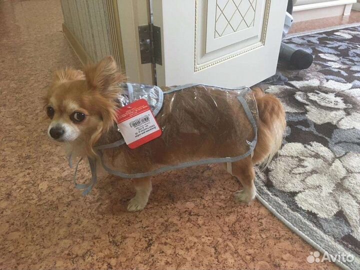 Дождевик для собаки новый