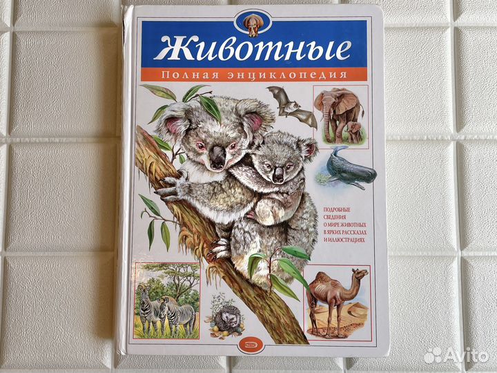 Детская энциклопедия Животные Подводный мир Космос