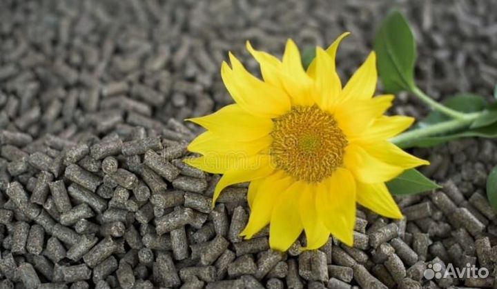 Пеллеты из лузги подсолнечника для отопления