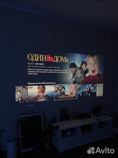 Аренда проектора