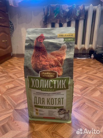 Корм для котят