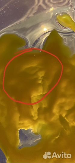 Хиромантия,таро,обучение,искусство