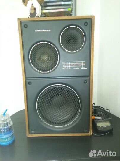 Колонки Электроника Д1-012, динамик 5гд-11А