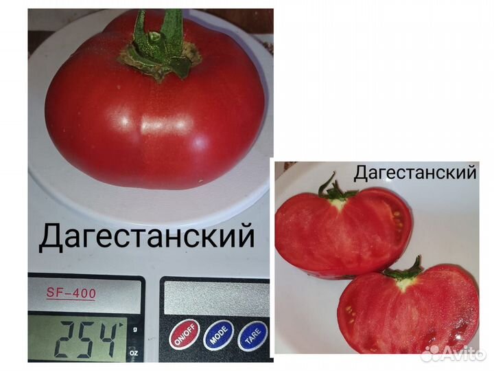 Семена томат помидор