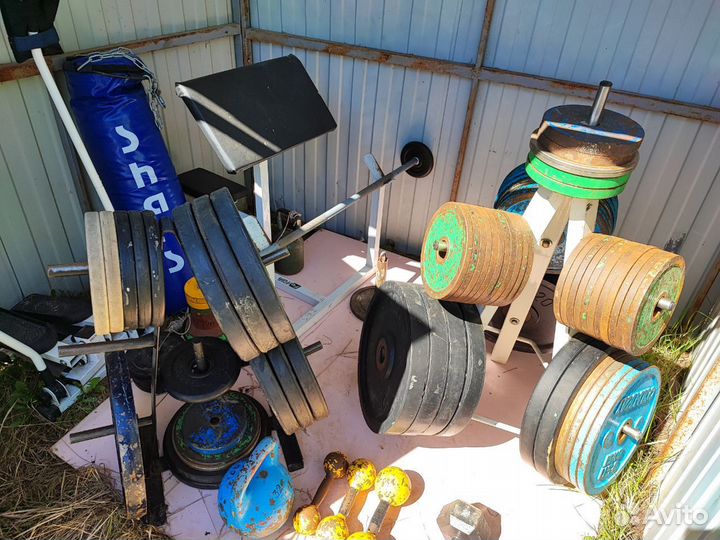 Блины, гантели, грифы