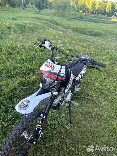 Питбайк regulmoto seven medalist 150e 19/16