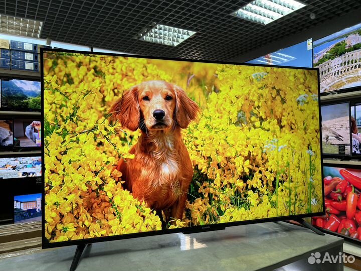 Телевизор 43