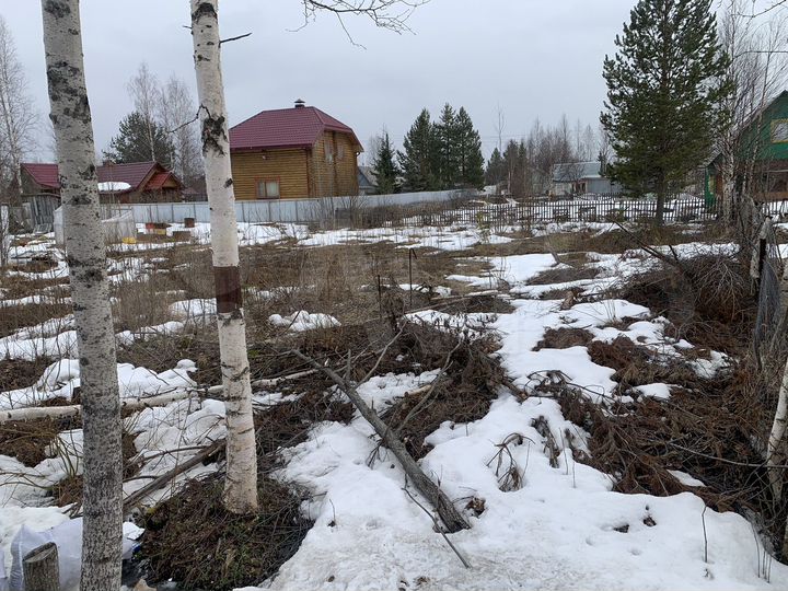 Участок 6 сот. (СНТ, ДНП)
