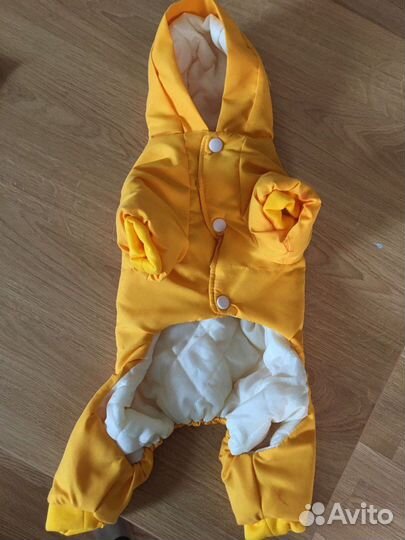 Одежда и обувь для собак