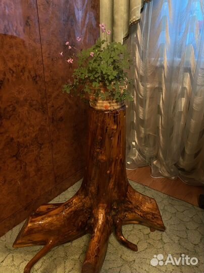 Пень подставка лакированный