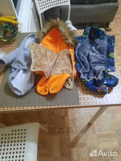 Одежда для собак