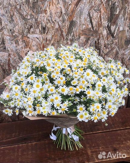 Ромашки Букет из ромашек доставка