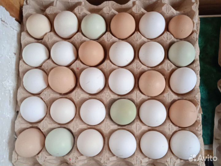 Домашние куриные яйца, вкусняшки