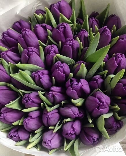 Тюльпаны к 8 марта оптом и в розницу