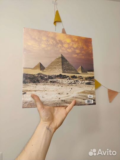 Northlane – Singularity винил цветной редкий