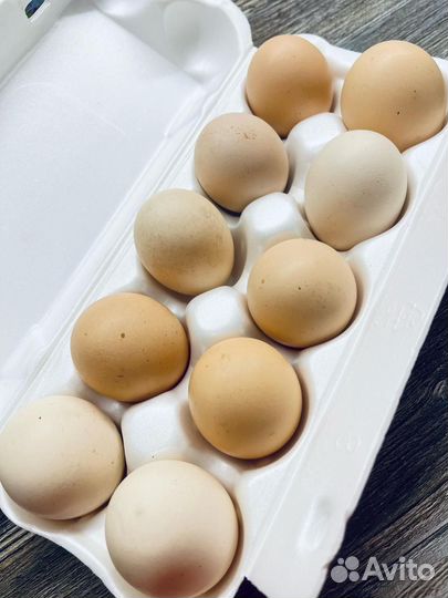 Домашние куриные яйца