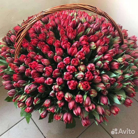 Тюльпаны оптом от 15шт. Букеты. Доставка. Москва